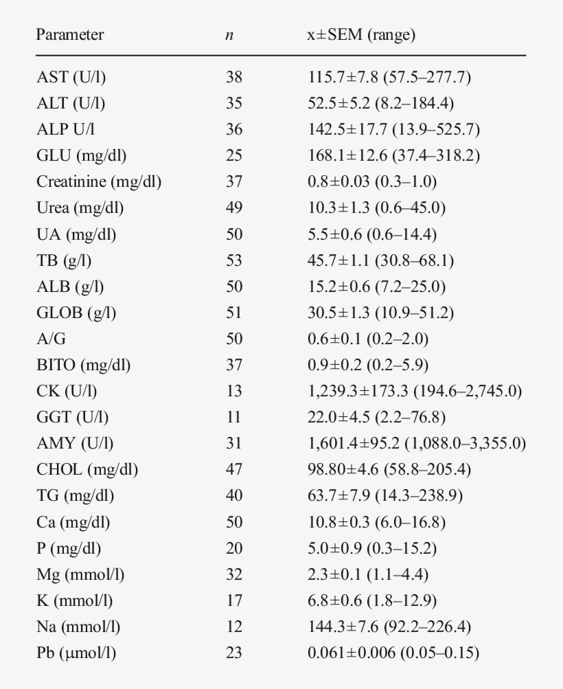 Serum Biochemical Parameters In Mute Swans - Mute Swan, transparent png