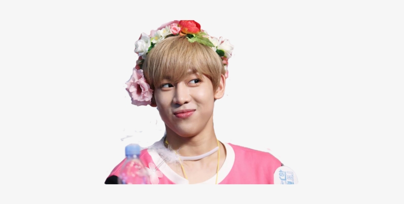 Got7, Png, And Bambam Image - Got7 Flower Crowns, transparent png