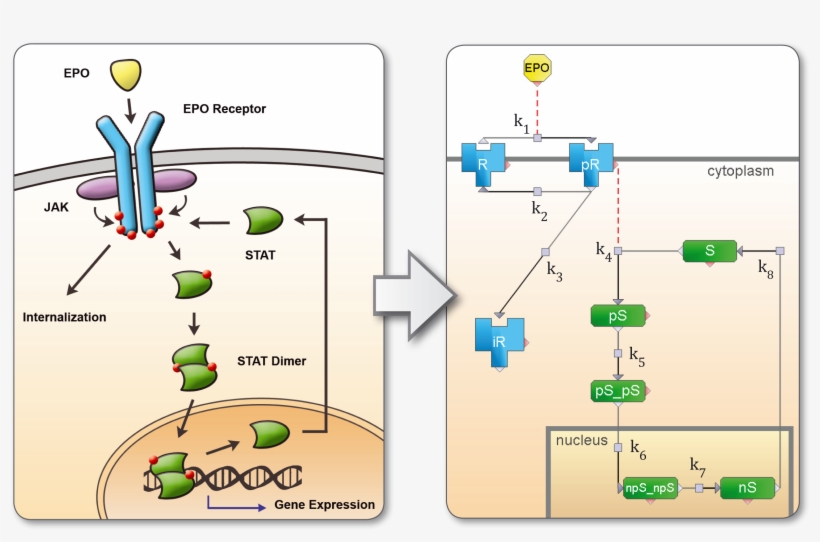 47, 3 April 2011 - Stat Jak, transparent png