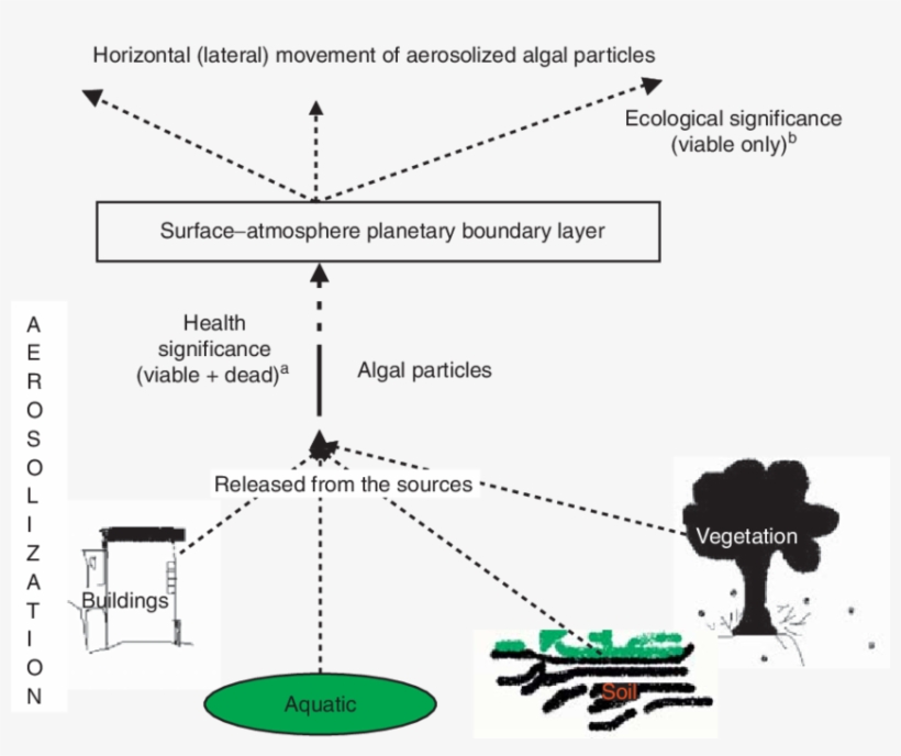 Aeroalgal Pathway - - Diagram, transparent png