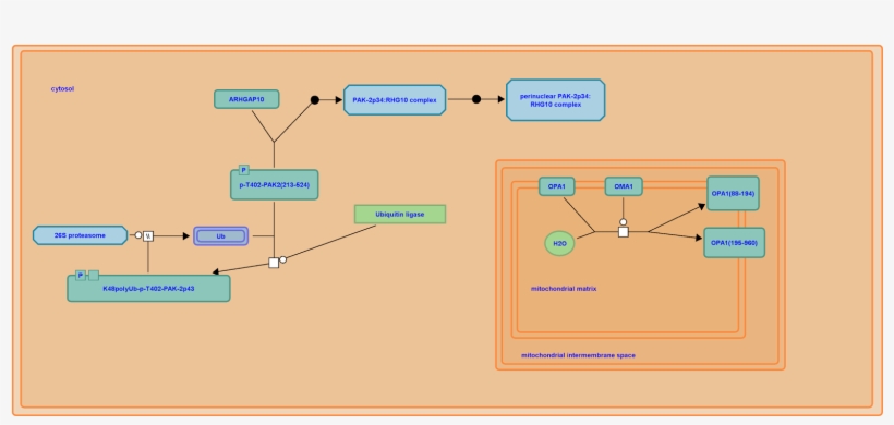 In Case The Requested Pathway Has An Interactive Illustration - Diagram, transparent png