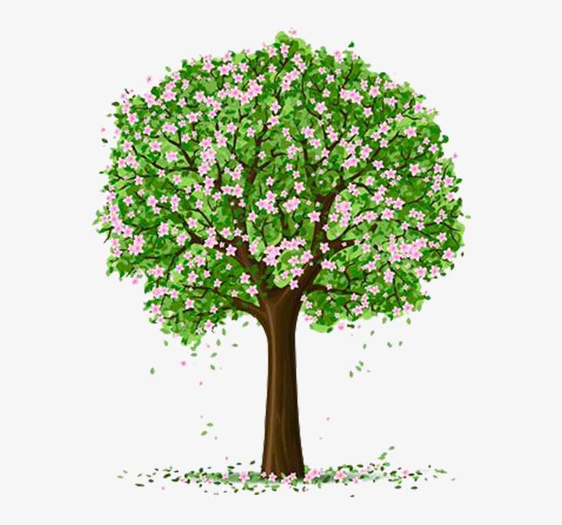 Tubes Arbres / Arbustes / Feuillages - Spring Tree Clipart Transparent, transparent png