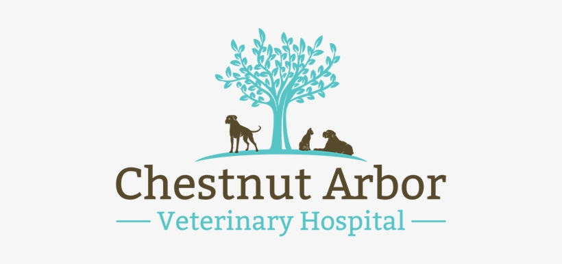 Chestnut Arbor Veterinary Hospital Chestnut Arbor Veterinary - Chestnut Arbor Veterinary Hospital Matthews, transparent png