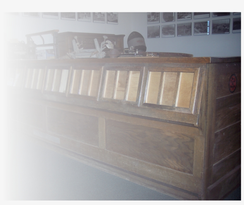 Halsey, transparent png