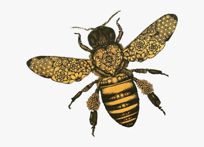Hfk Bee Tilt - Hopeless Fountain Kingdom Bee, transparent png
