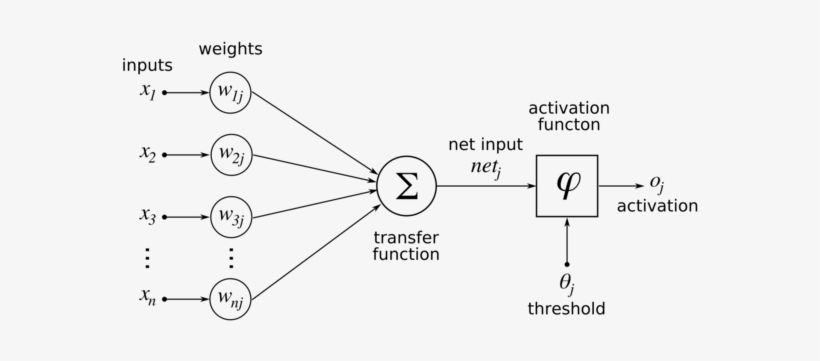 Artificialneuronmodel English - Structure Of Artificial Neuron, transparent png