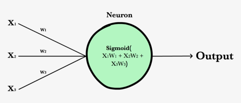 Images/neuron - Neuron Ml, transparent png