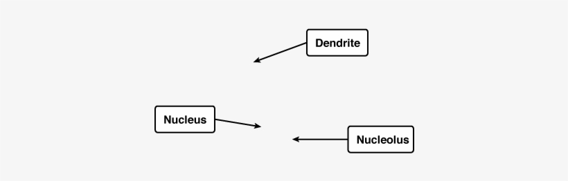 Diagram, transparent png
