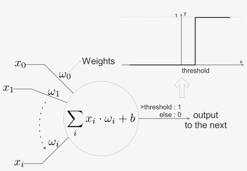 The Above Diagram Shows A Neuron In Nn, It Simulates - Diagram, transparent png