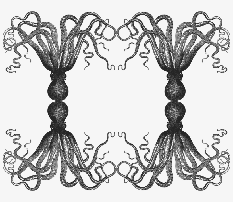 Vintage Octopus Throw Blanket, transparent png