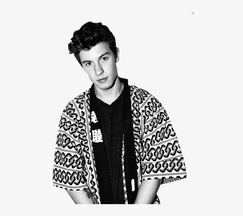 Here Are Two Quick Pngs I Made Of Shawn - Shawn Mendes Instagram, transparent png