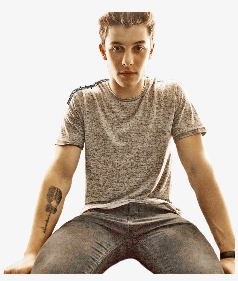 Reblog This Transparent Shawn For Good Blog Luck, He - Transparent Shawn Mendes Png, transparent png