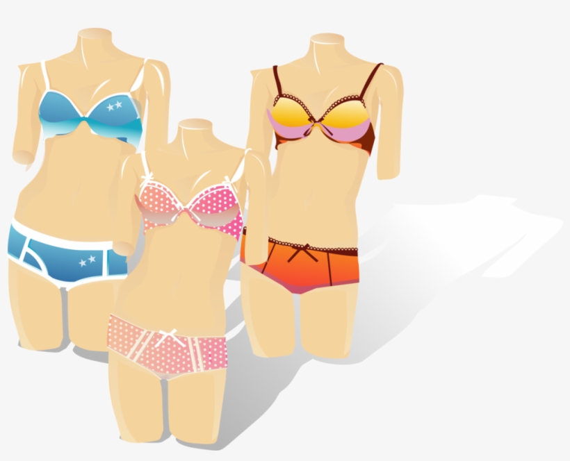 Swimsuit Panties Undergarment Clothing Bikini - Vector, transparent png