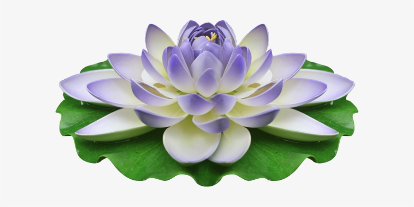 Visit - Wallpaper, transparent png