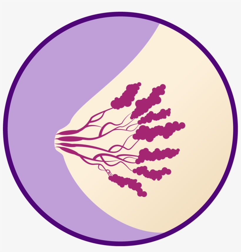 Faq - Pms Boobs Swollen, transparent png