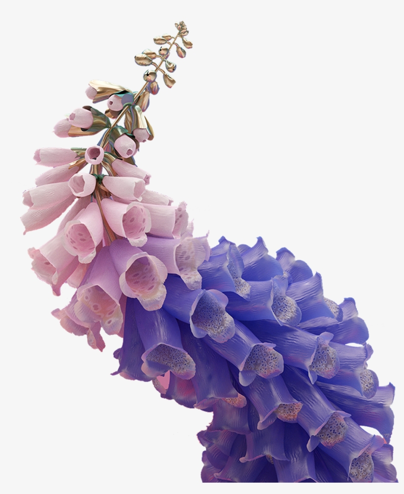 Edit Needs On We Heart It - Flume Skin Flower, transparent png