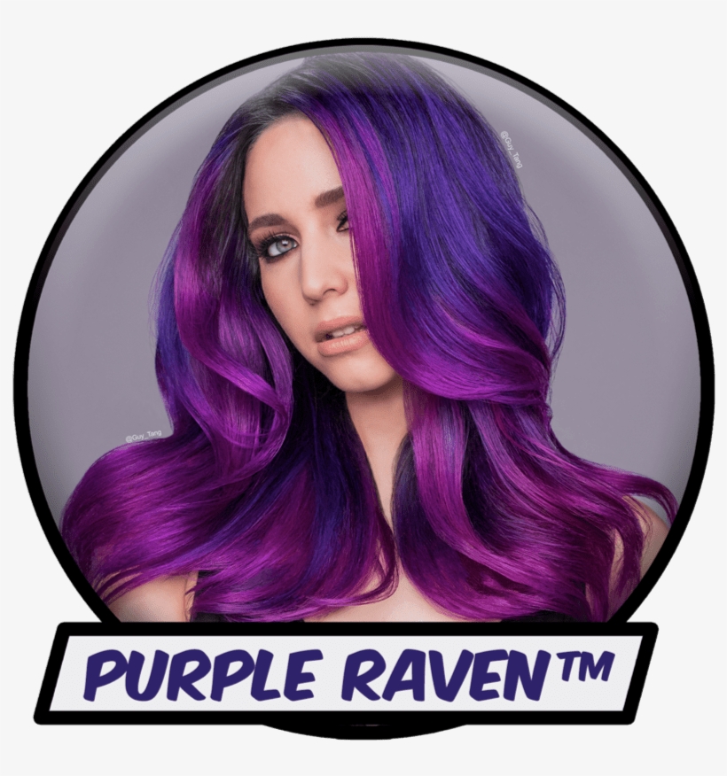 Hero Cta 1 Purple Raven, transparent png