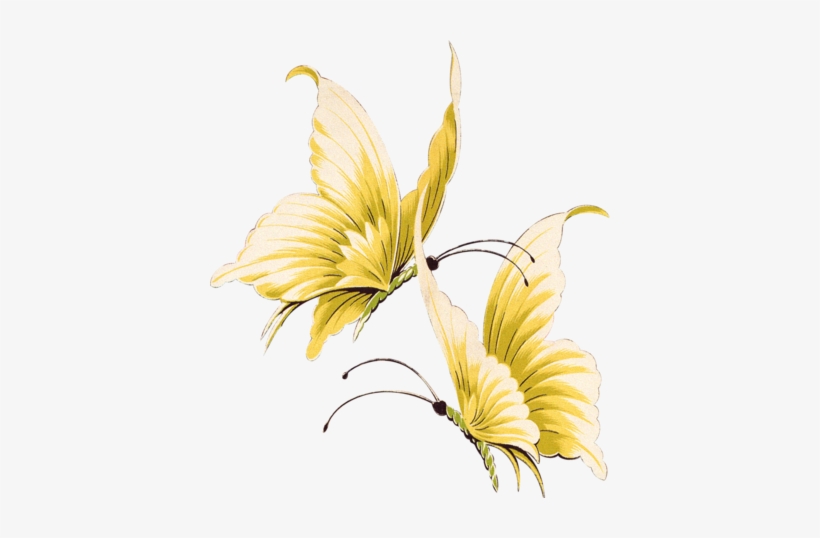 Beautiful Butterfly By Vanessyca71-d3d2dnf - Gold Butterfly Transparent Background, transparent png