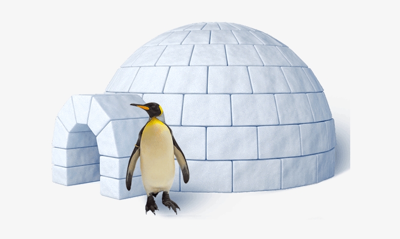 Graphic Royalty Free Penguins Our King And Gentoo At - Igloo House, transparent png