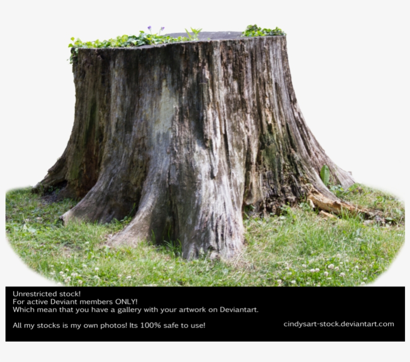 Stump 3 By Cindysart-stock - Tree, transparent png