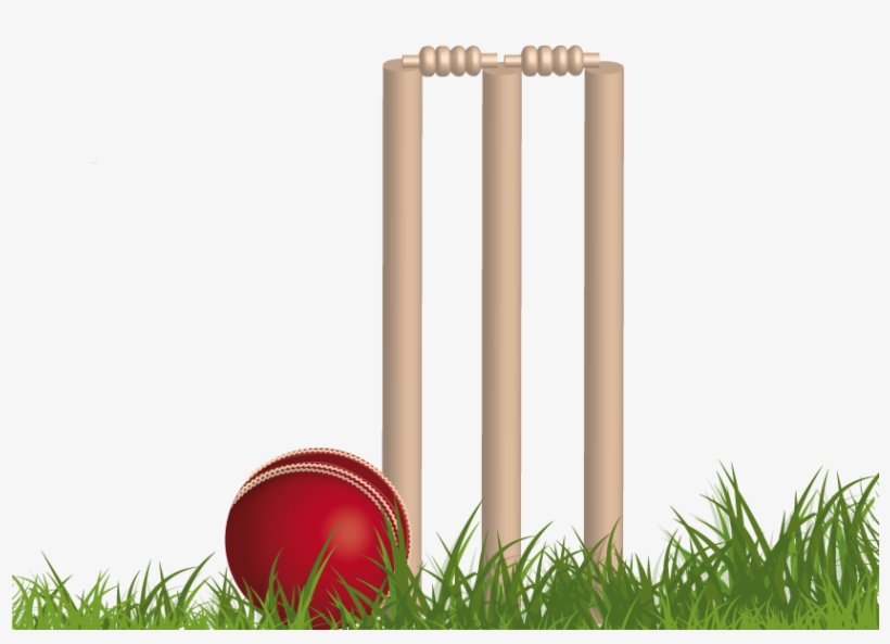 Cricket Stumps Png Free Download - Cricket Png, transparent png