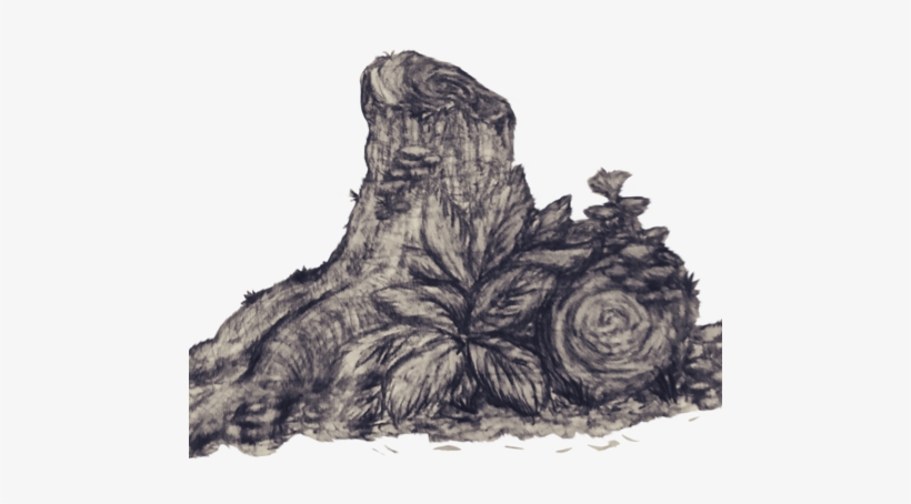 Rainforest Tree Stump - Rose, transparent png