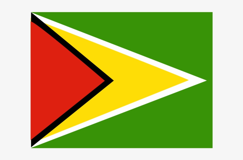 Flag Of Guyana Logo Png Transparent - Triangle, transparent png