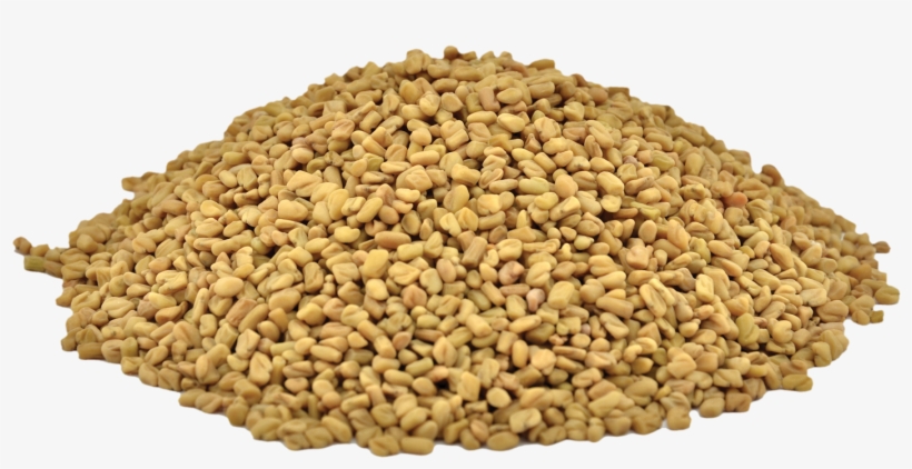 Organic Fenugreek Seeds - Fenugreek, transparent png