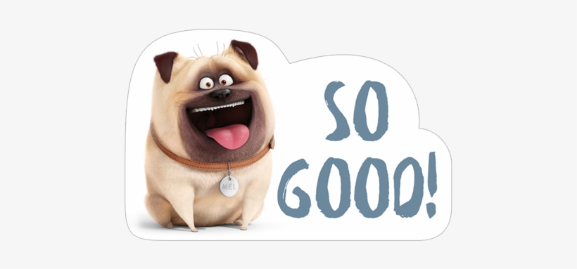 Viber Sticker «secret Life Of Pets» - Secret Life Of Pets Pug, transparent png
