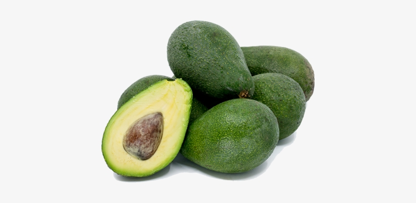 Fuerte Avocado, transparent png