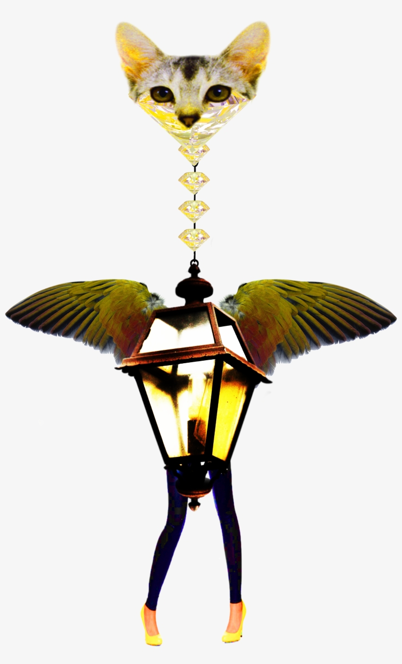 “angels Of The Internet” By Combining Multiple Different - Cat, transparent png