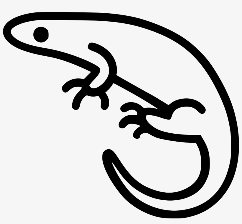 Png File - Icon, transparent png