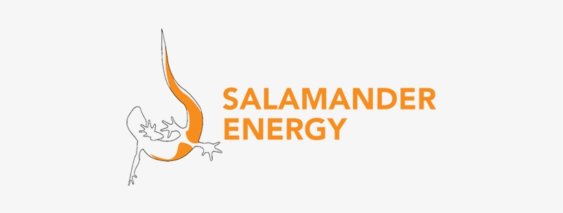 Salamander - World Future Energy Summit 2018, transparent png