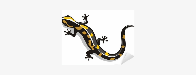 Salamandra Vector, transparent png