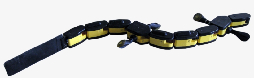 Modeling The Salamander Swimming Gait With Virtual - Salamander Robot, transparent png