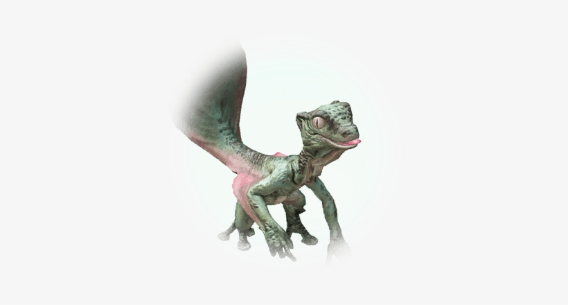 Small Salamander - Black Desert Online, transparent png