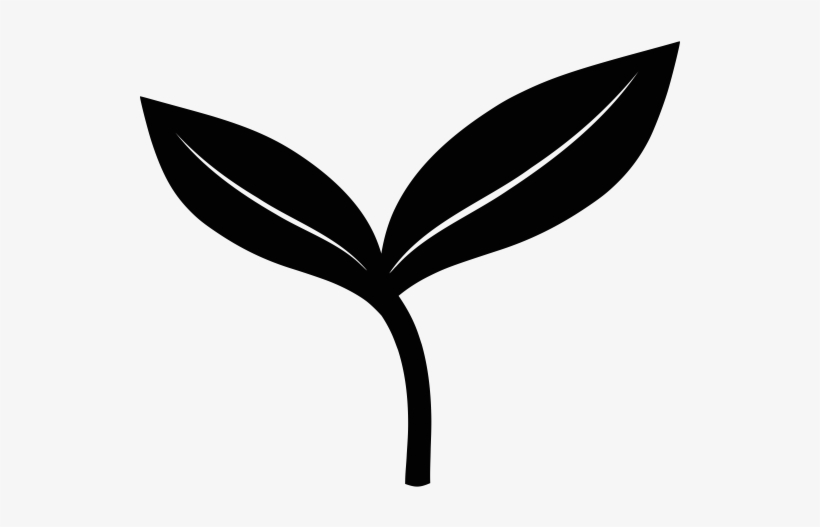 Made For You - Portable Network Graphics, transparent png