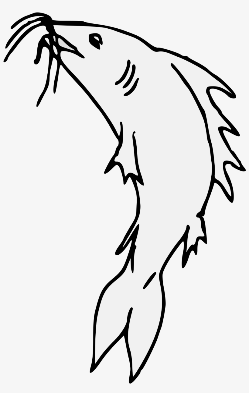 Catfish Haurient Embowed, transparent png