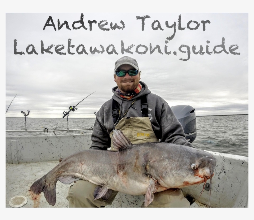 Blue Catfish Report Lake Tawakoni - Santa Takes A Vacation, transparent png