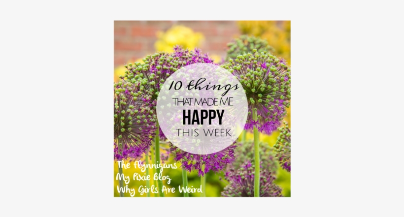 10 Things That Made Me Happy This Week - She Believed She Could, So She Did: Inspirational And, transparent png