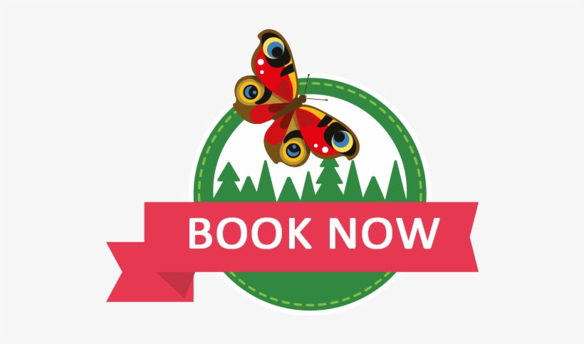 Schools & Groups - Graphics, transparent png