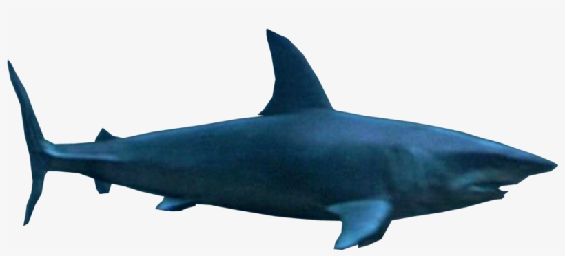 Deep Blue Sea Mako Shark Png By Sonic2006fan-dca2jn5 - Deep Blue Sea, transparent png