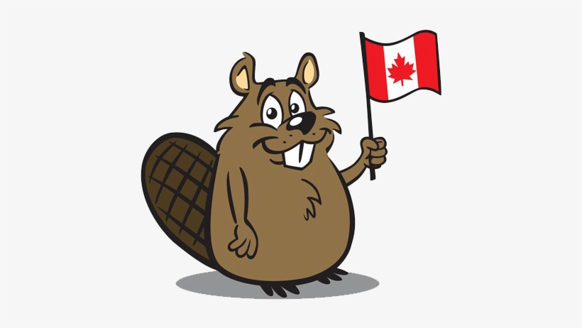Beaver Png Free Download - Beaver Holding Canadian Flag, transparent png