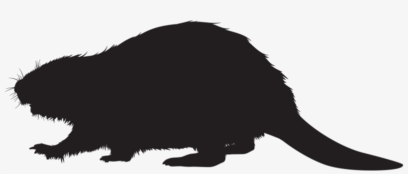 Beaver Silhouette Clip Art, transparent png