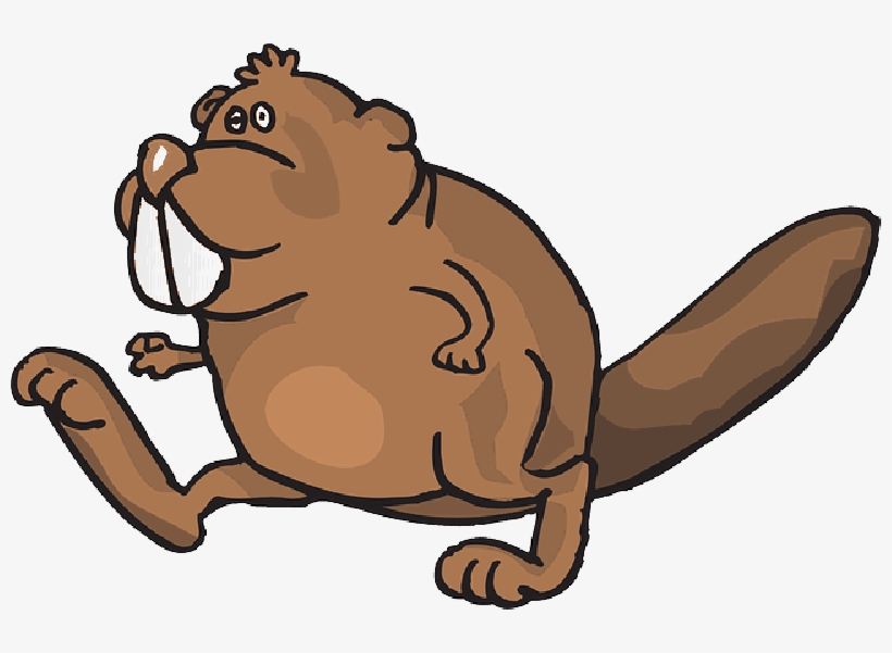 Mb Image/png - Animales En Movimiento Png, transparent png