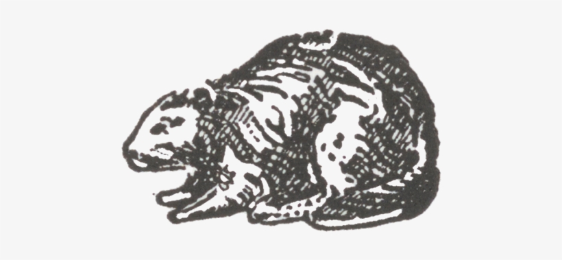 About The Beaver Press Print Shop - Hippopotamus, transparent png