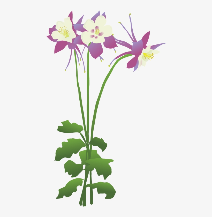 Encode Clipart To Base Convert - Columbine Flower Kids Clipart, transparent png