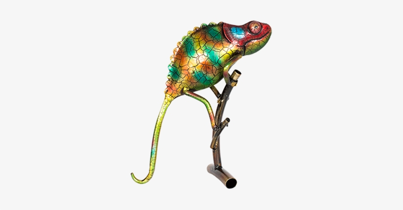 Turkey, transparent png