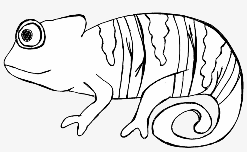 Cameleon Clipart Desert Animal Black And White Chameleon
