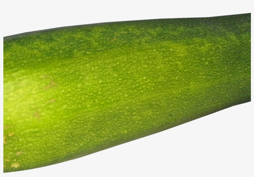 Zucchini Png Image1 - Zucchini, transparent png